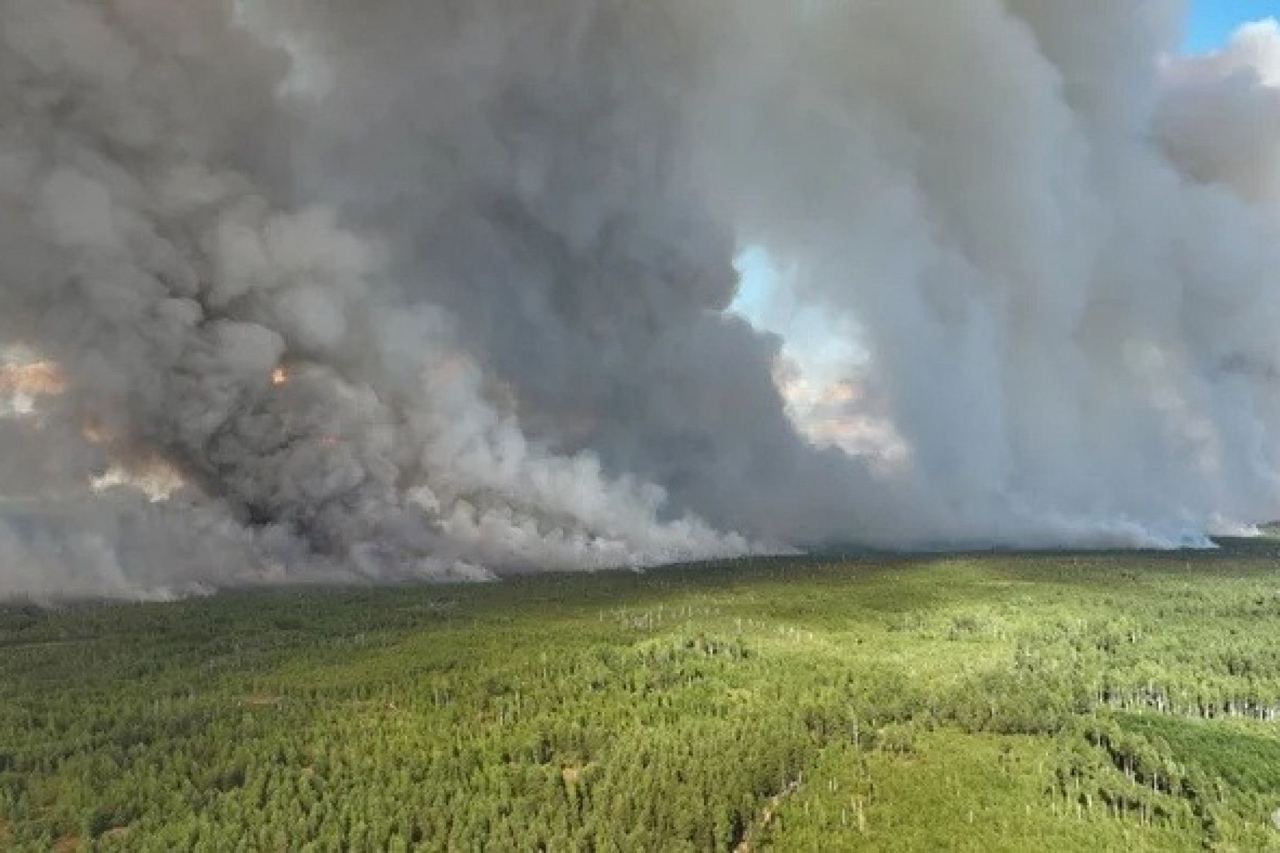 Рязанские лесные пожары распространяются в сторону Подмосковья