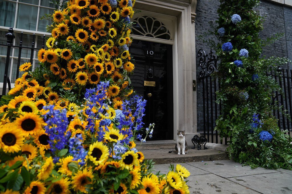 🌼 Резиденцію прем’єр-міністра Великобританії на Даунінг-стріт прикрасили синьо-жовтими квітами до Дня незалежності України