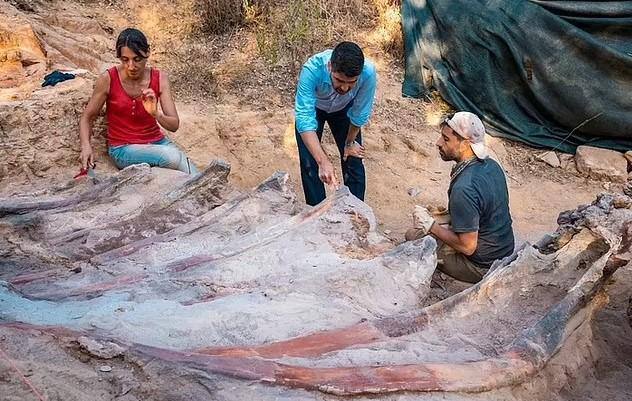 В Португалии нашли кости крупнейшего динозавра Европы