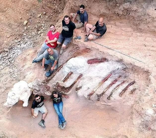 В Португалии нашли кости крупнейшего