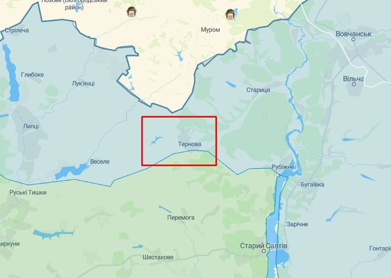 14 бригада уволила поселок Терновая Харьковской области, - сообщают СМИ