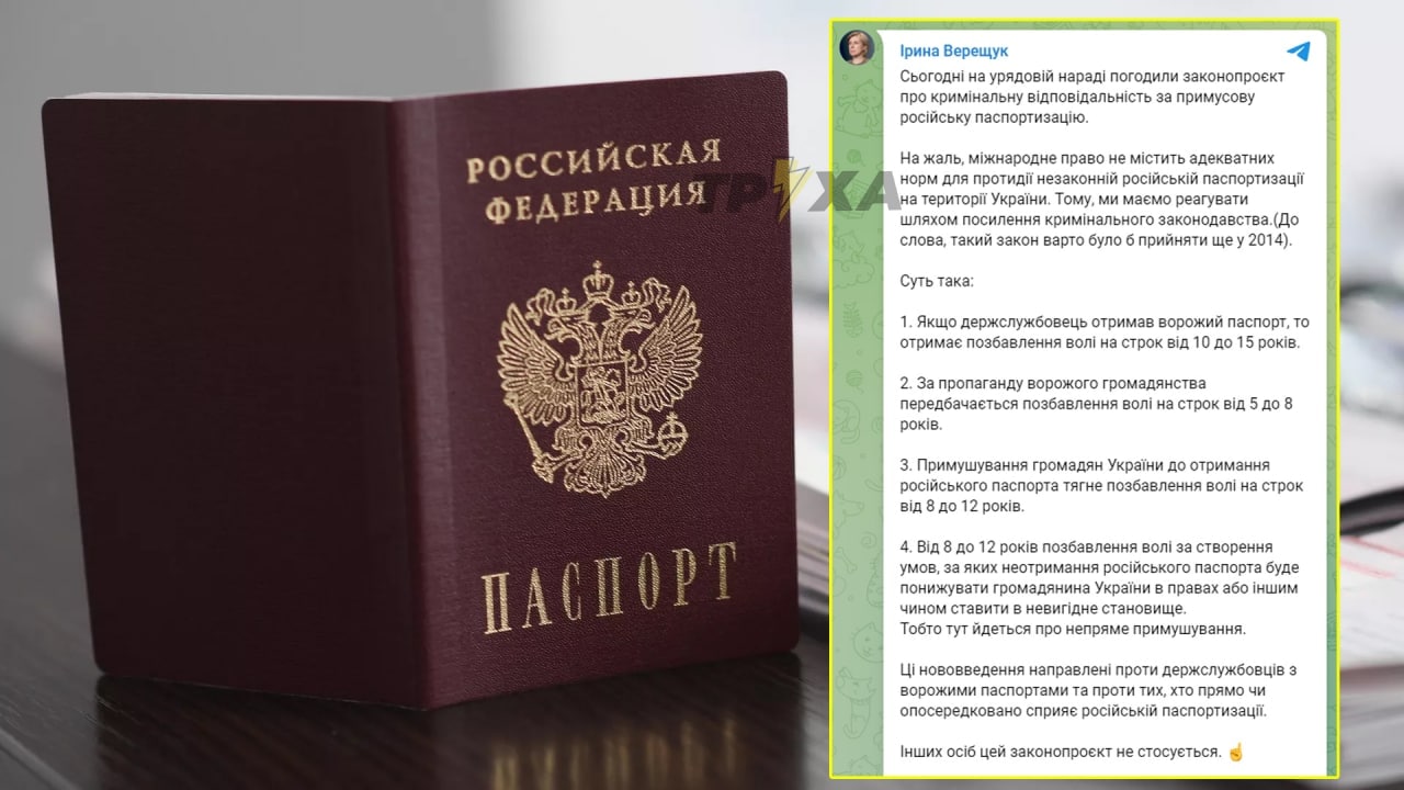 Введена уголовная ответственность за принуждение к российской паспортизации, – вице-премьер министр Ирина Верещук