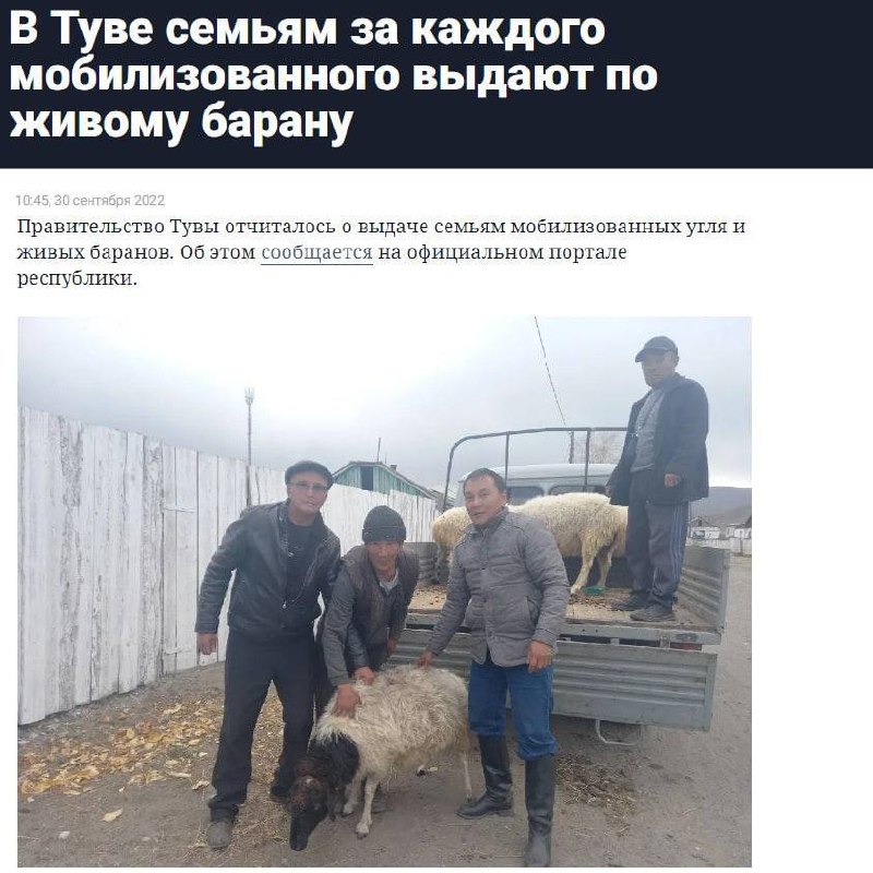 Российским семьям предлагают мужчин менять на живого барана