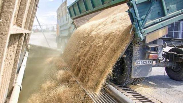 Россия сразу после заявления о выходе из «зерновой сделки» начала предлагать свое зерно вместо украинского на мировом рынке