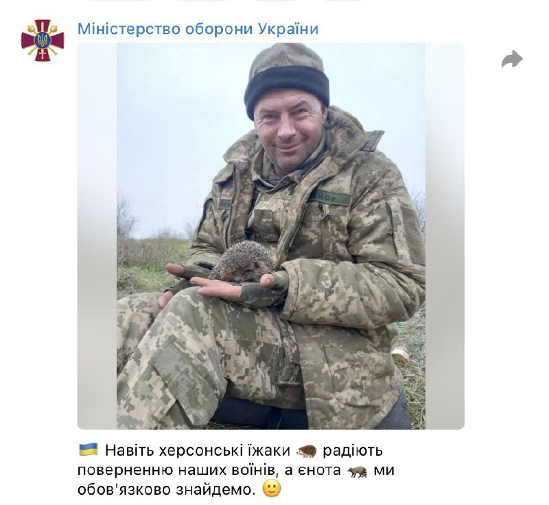 🦝 В Минобороны Украины пообещали найти украденного херсонского енота! 