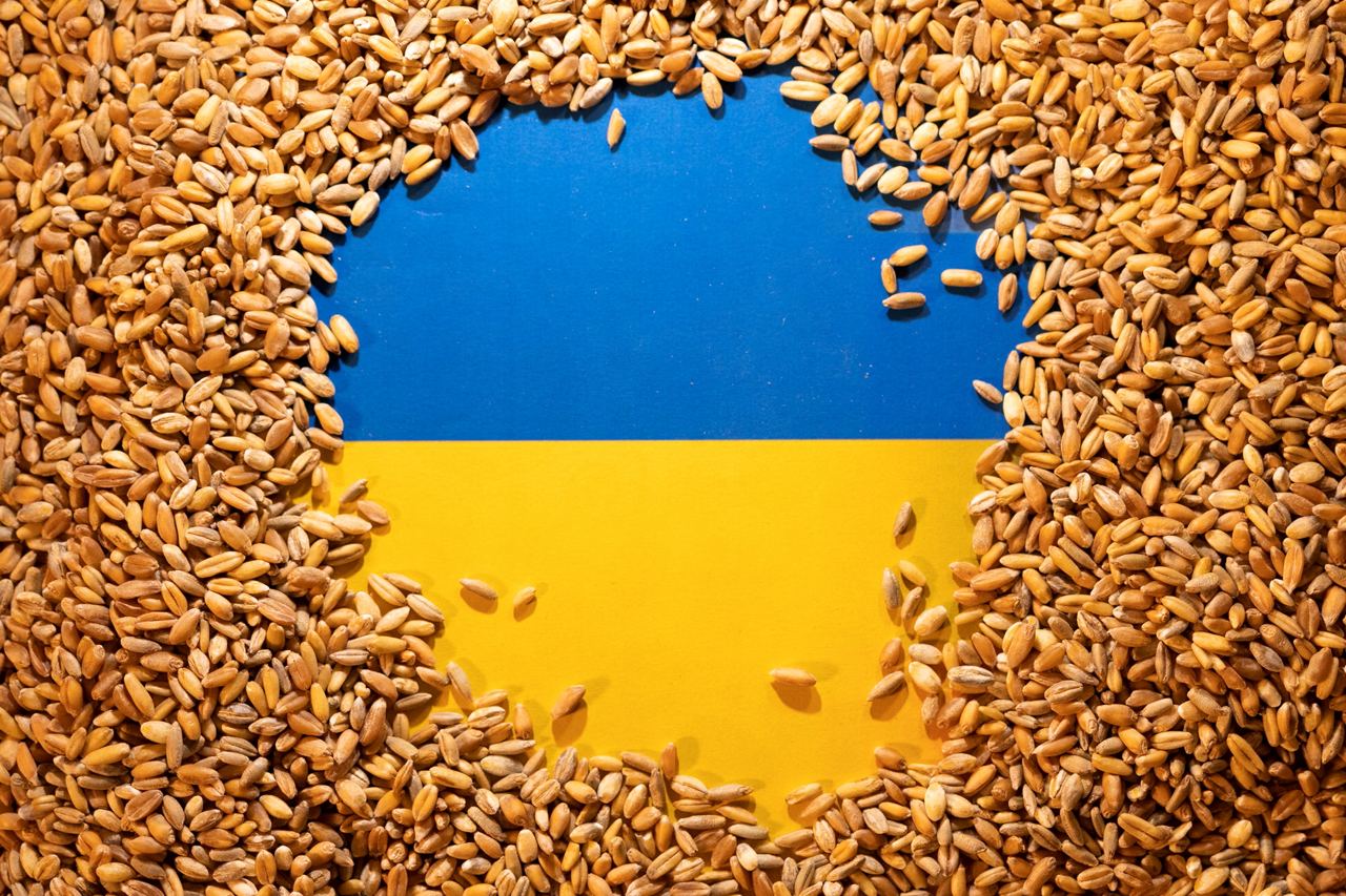 🌾 20 государств объявили о выделении значительных сумм для инициативы «Grain From Ukraine», которая призвана обеспечить доставку украинского зерна в беднейшие страны Азии и Африки