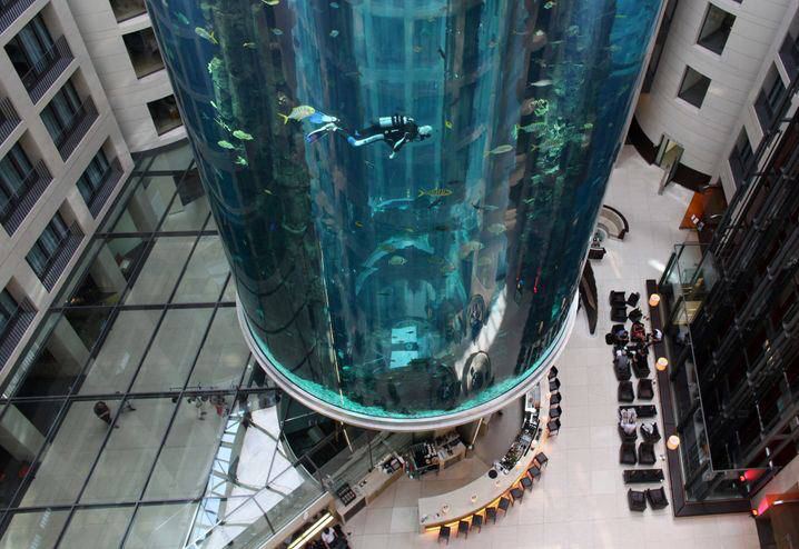 Самый большой в мире цилиндрический аквариум лопнул в Берлине