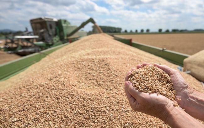 В 2022 году цены на продовольствие в мире достигли рекордного уровня, сообщает Продовольственная и сельскохозяйственная организация ООН (ФАО)