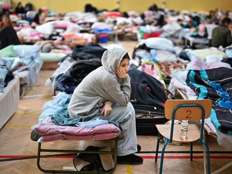 Более половины украинских беженцев в