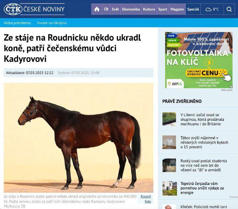 Цыгане у Кадырова украли коня, — чешские СМИ😏