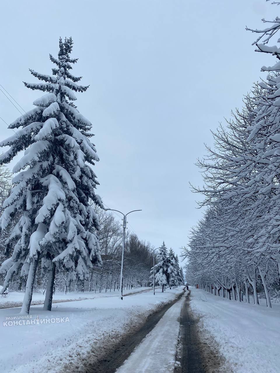 Донбасс - в снегу