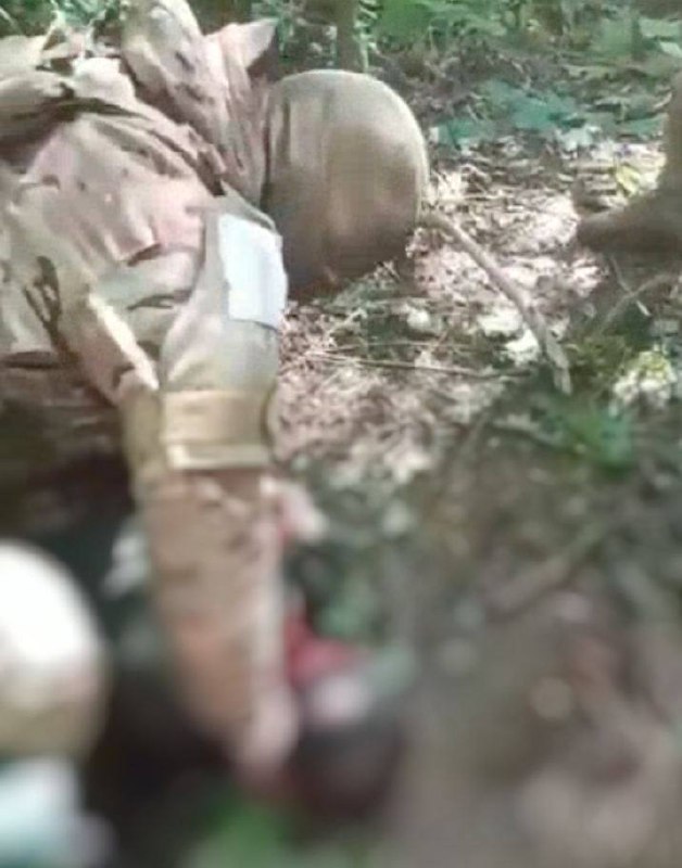 З’явилось жахливе відео, як нашому військовому відрізають голову наживо і опублікували це 🤬