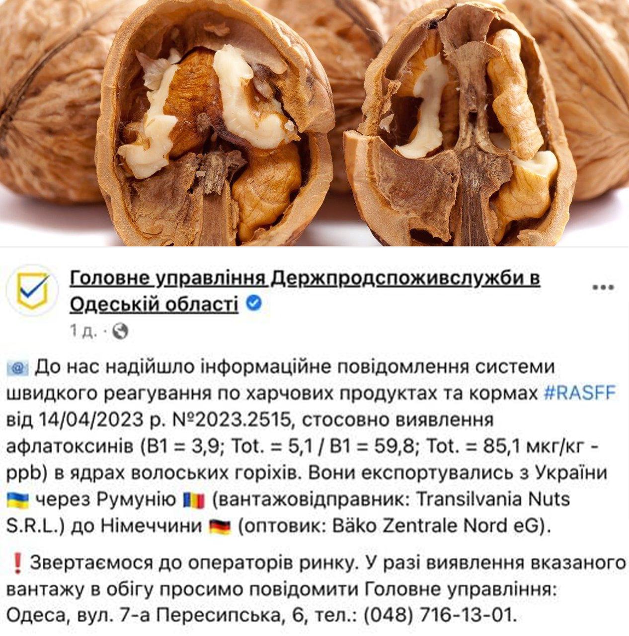 В Украине обнаружили орехи, способные