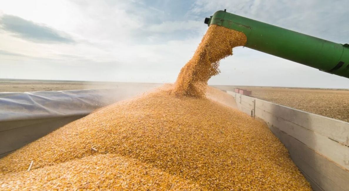 🇨🇿Чехия не будет вводить запрет на импорт украинского зерна, заявил министр сельского хозяйства страны Зденек Некула