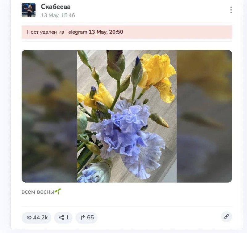 Скабеева опубликовала пост с фото желто-голубого букета цветов и пожеланием весны, но быстро удалила его, испугавшись "опасного" цветового сочетания 