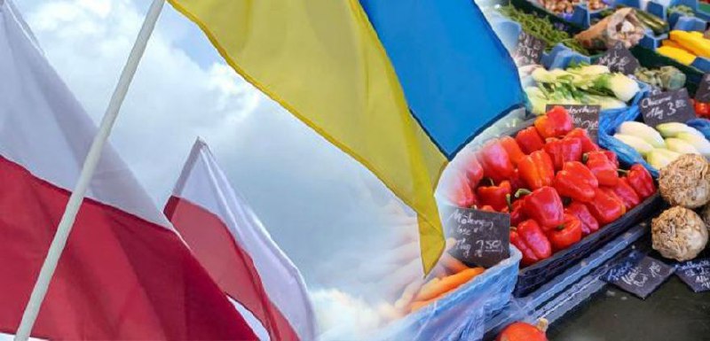 Польша с 15 сентября продлит запрет на ввоз украинской агропродукции, даже если ЕС не примет такого решения