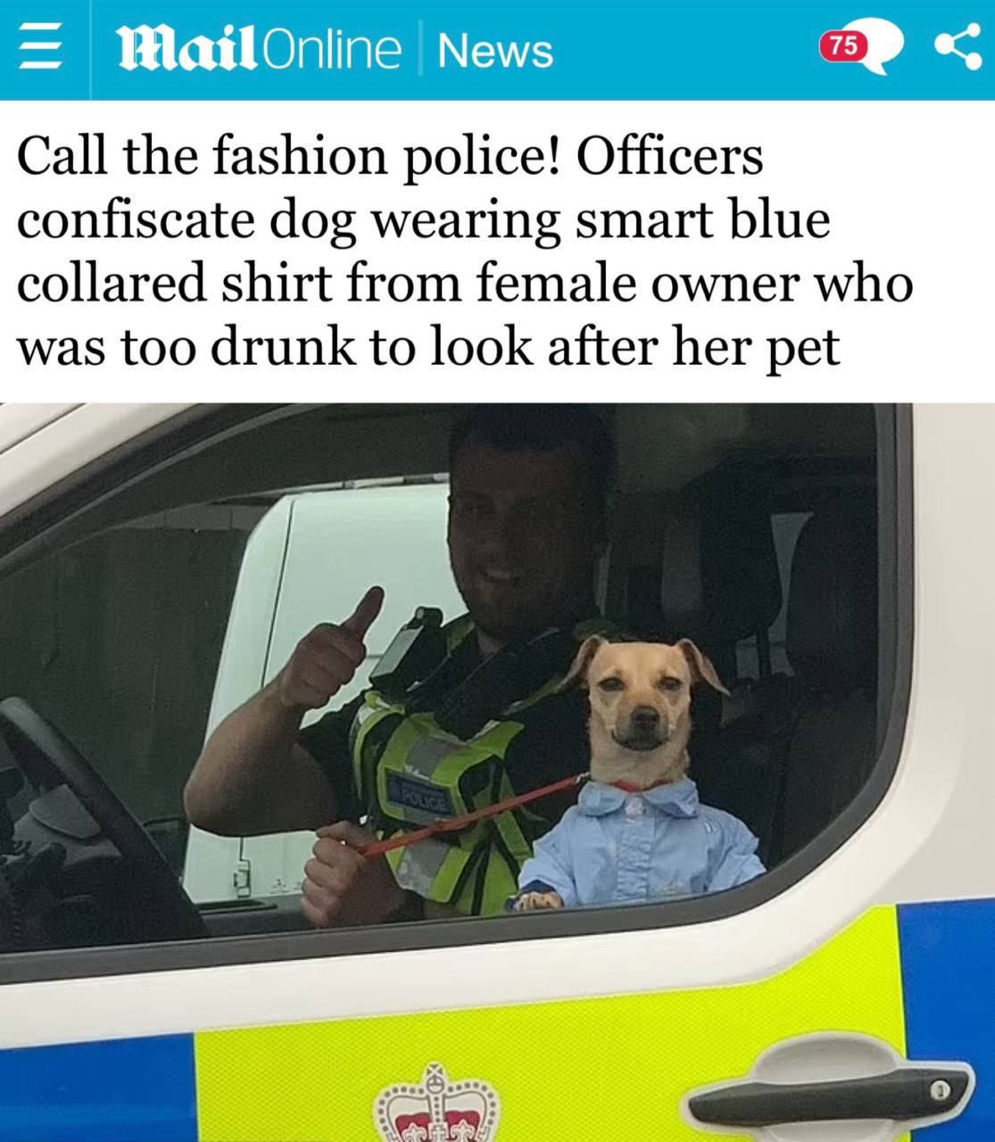 В Британии полицейские забрали собаку