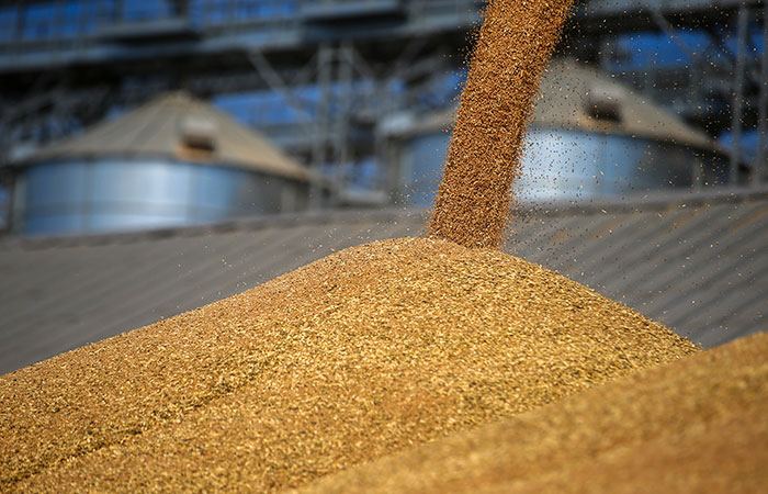 Правительство Польши продлит запрет ввоза зерна из Украины после 15 сентября, независимо от решения Еврокомиссии
