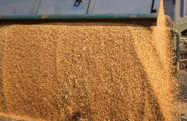 Словакия в одностороннем порядке продлит запрет на ввоз зерна из Украины, - словацкий телеканал Markiza со ссылкой на министерство сельского хозяйства