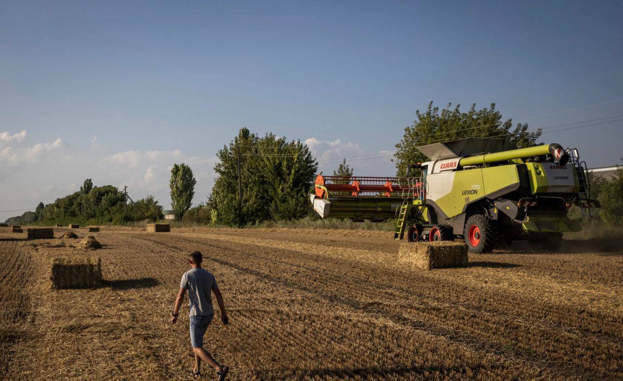 ❗️Україна судитиметься з Польщею, Угорщиною та Словаччиною через сільськогосподарські заборони