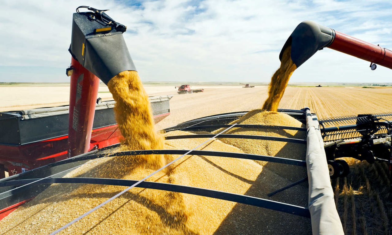 Україна та Польща домовилися знайти рішення, яке враховує інтереси обох країн, щодо експорту зерна