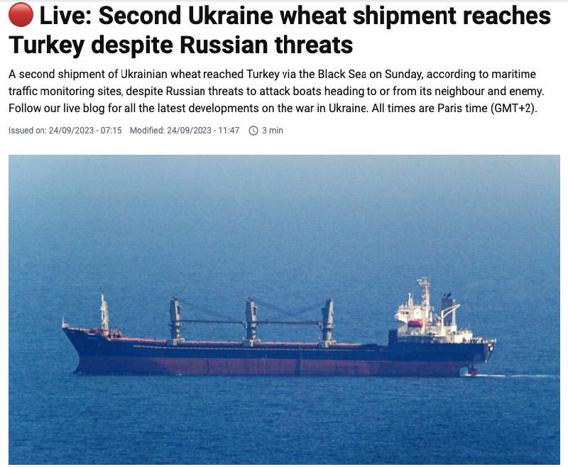 Второе судно с украинским зерном вошло в порт Турции, — France24