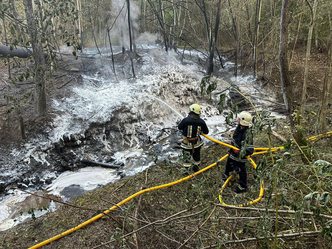 Рятувальники ліквідували пожежу, що сталася внаслідок прориву нафтопроводу в Івано-Франківській області